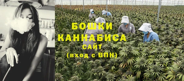 соль ск Нестеровская