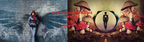 метадон Кинешма