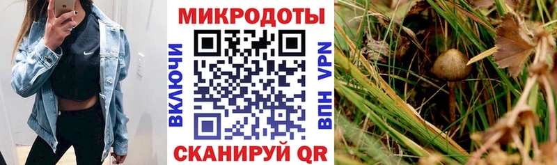 Галлюциногенные грибы ЛСД  Тихвин 