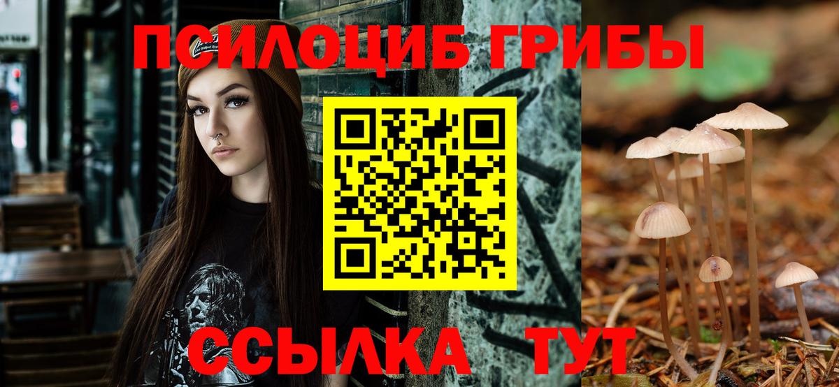 Псилоцибиновые грибы мицелий Тихвин