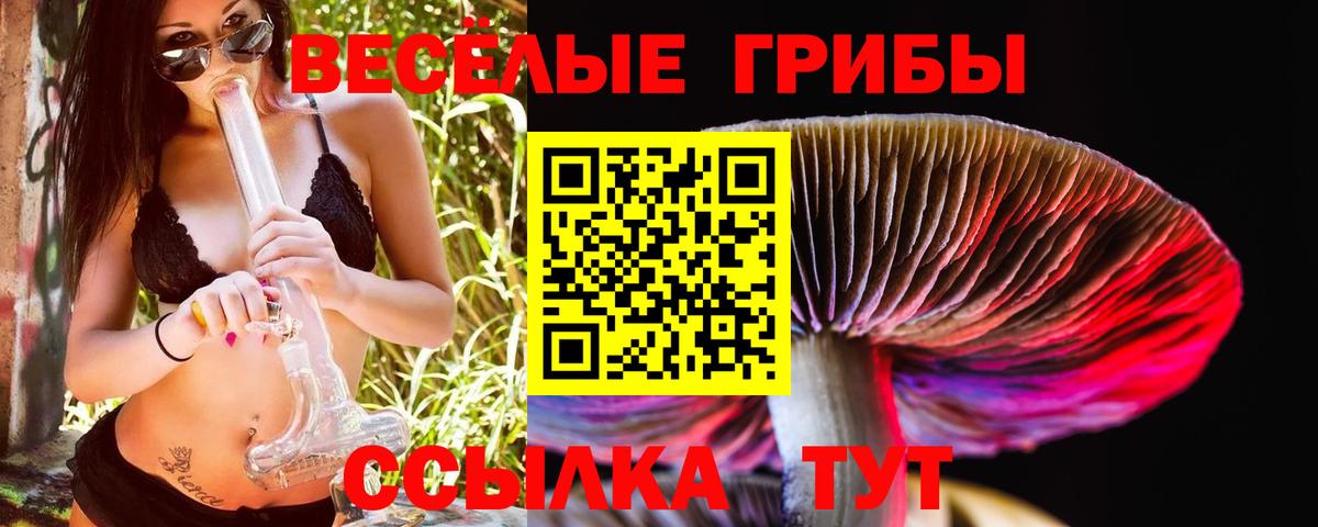 Галлюциногенные грибы мухоморы  купить   Тихвин  Вход с VPN 